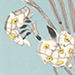 Kichinosuke Tanaka Gallery